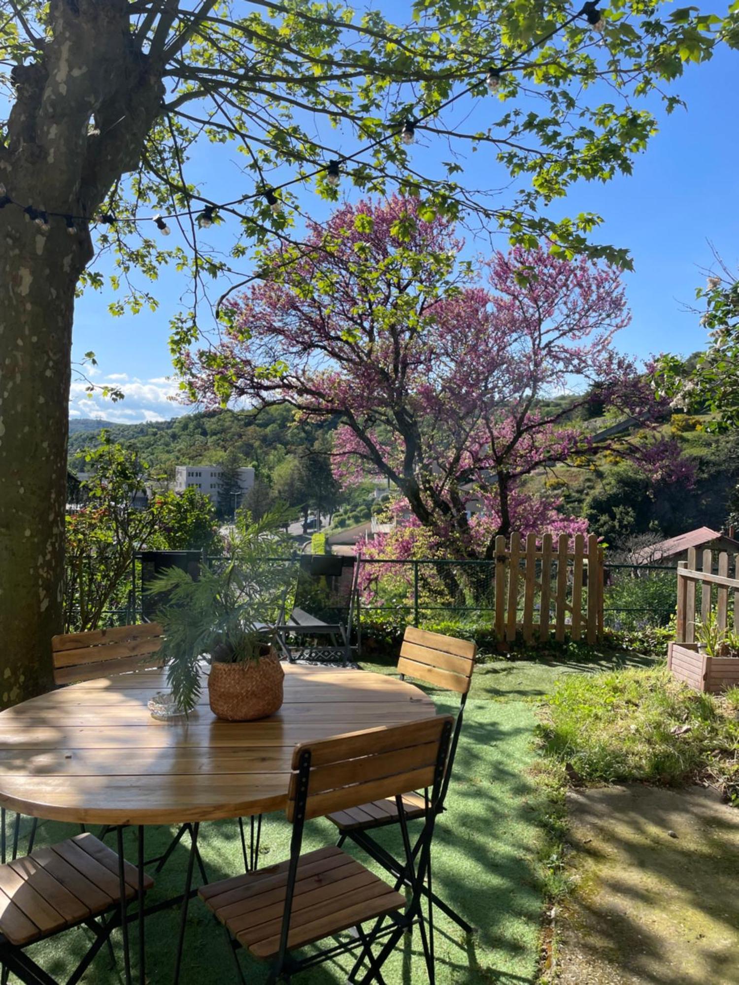 Maison A Avec Jardin Privatif Dans Domaine Des Crozes Vienne  Exterior foto